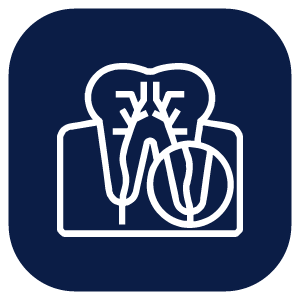 Imagen de Endodoncia